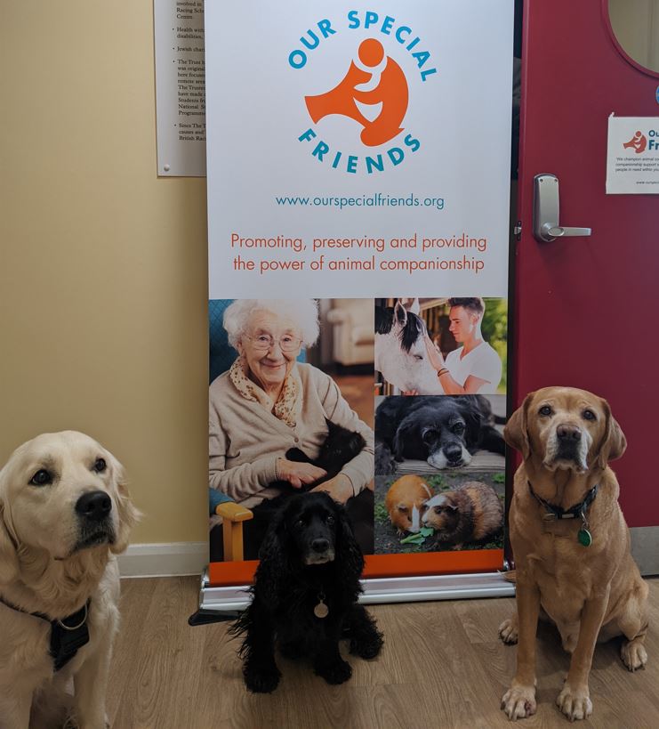 Three dogs siting in front of a roll up banner that displays Our Special Friends branding.